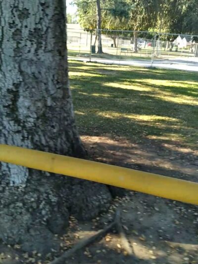 Covina Park - Covina, CA