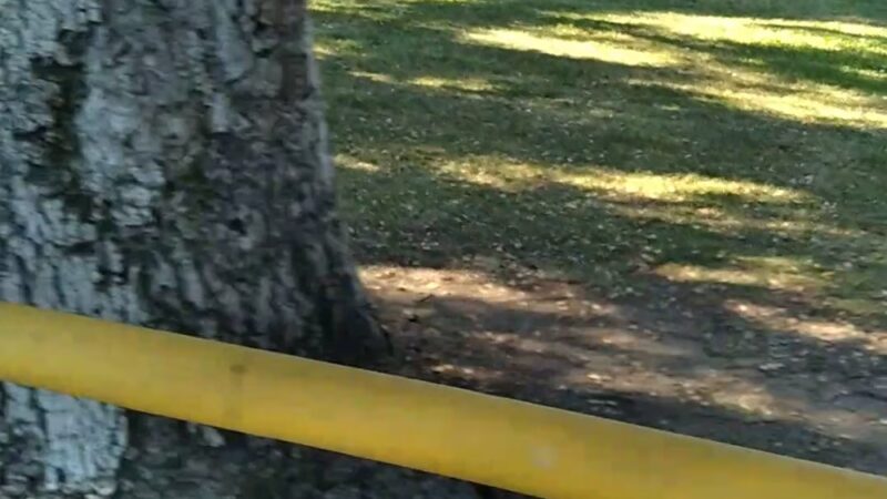 Covina Park - Covina, CA