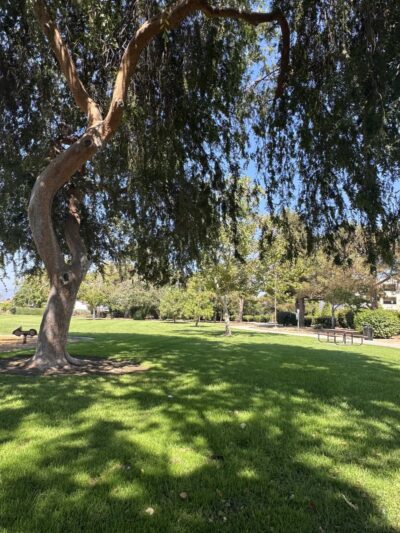 Edna Park - Covina, CA
