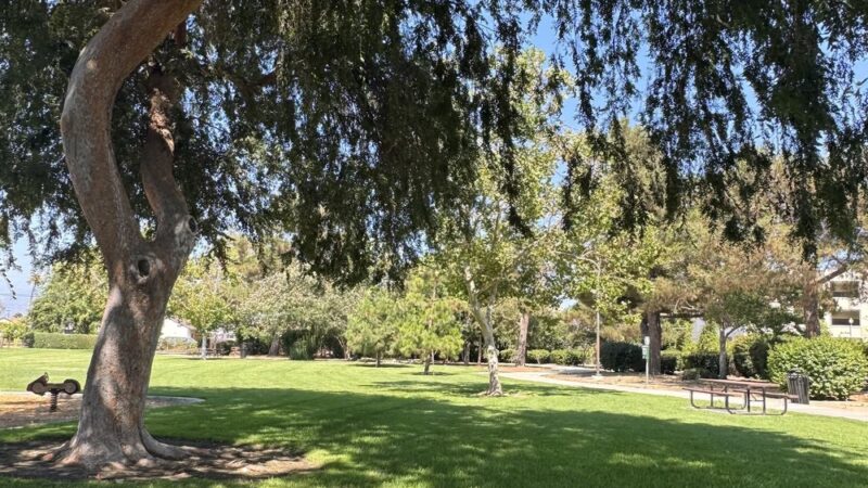 Edna Park - Covina, CA