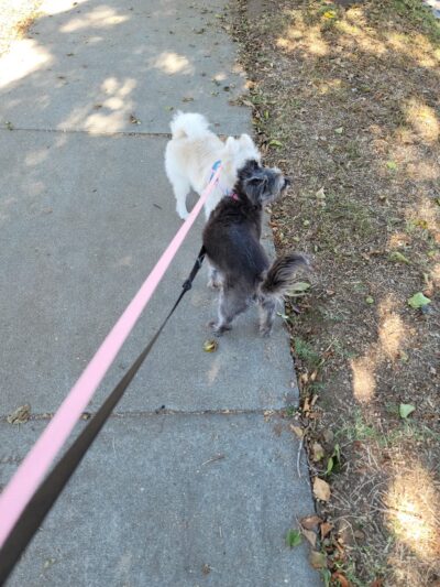 Edna Park - Covina, CA