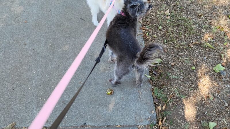 Edna Park - Covina, CA