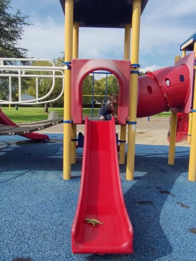 Hollenbeck Park - Covina, CA