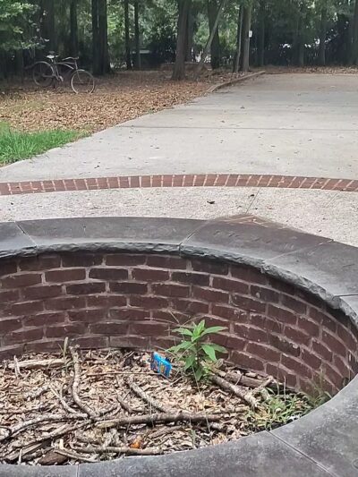 Chimney Park - Covington, GA