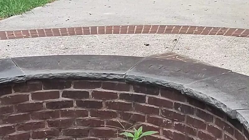 Chimney Park - Covington, GA