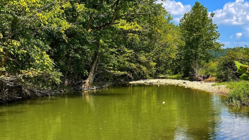 Devou Park - Covington, KY