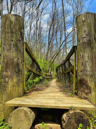 Doe Run Lake - Covington, KY