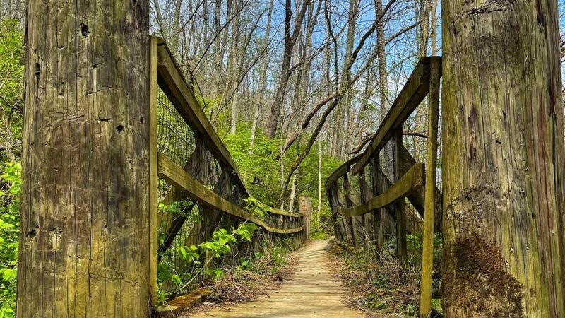 Doe Run Lake - Covington, KY