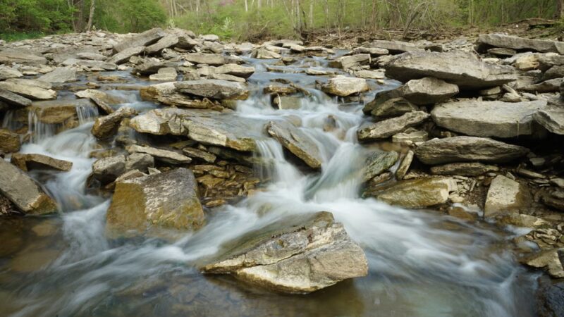 Doe Run Lake - Covington, KY