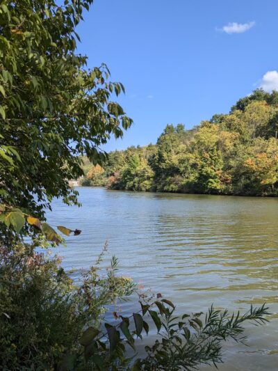 Doe Run Lake - Covington, KY