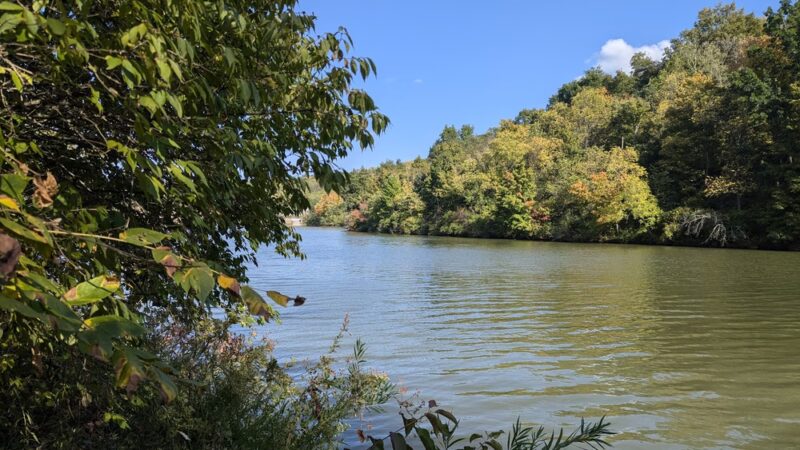 Doe Run Lake - Covington, KY