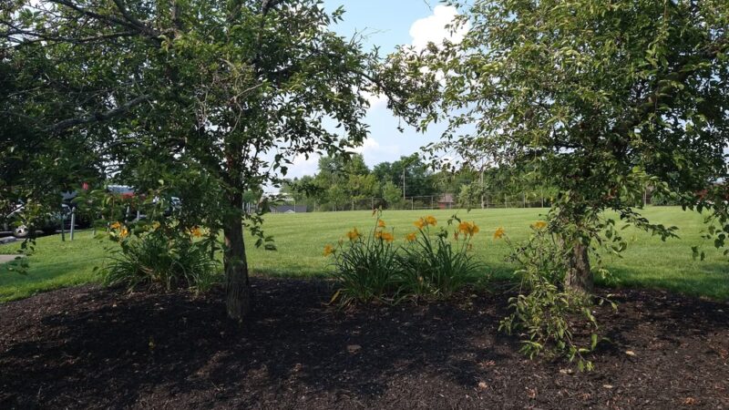Kenton County Parks & Rec - Covington, KY
