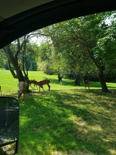 12penny Saloon Gay Campground - Covington Township, PA