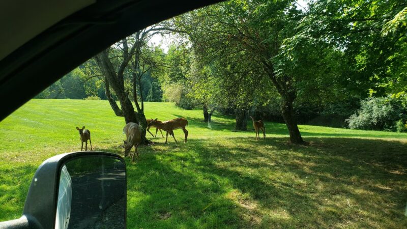12penny Saloon Gay Campground - Covington Township, PA