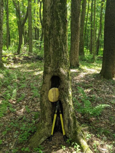 Sugarcreek Community Park - Cowansville, PA