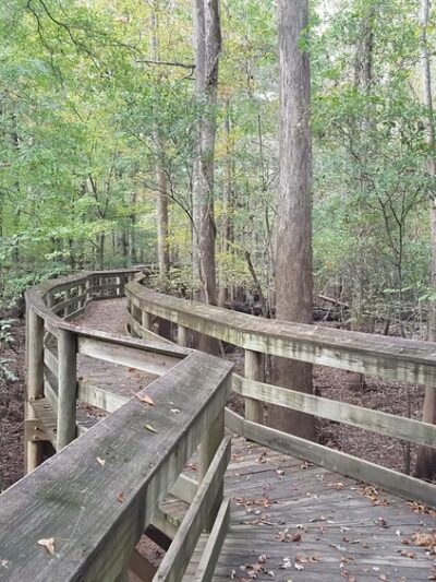 Lynches River County Park - Coward, SC