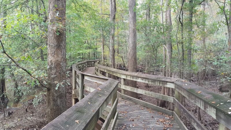 Lynches River County Park - Coward, SC