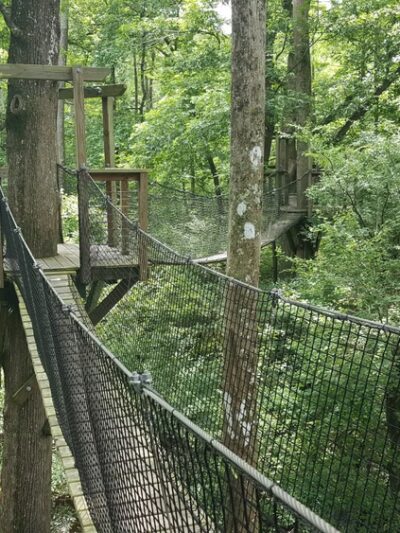 Lynches River County Park - Coward, SC
