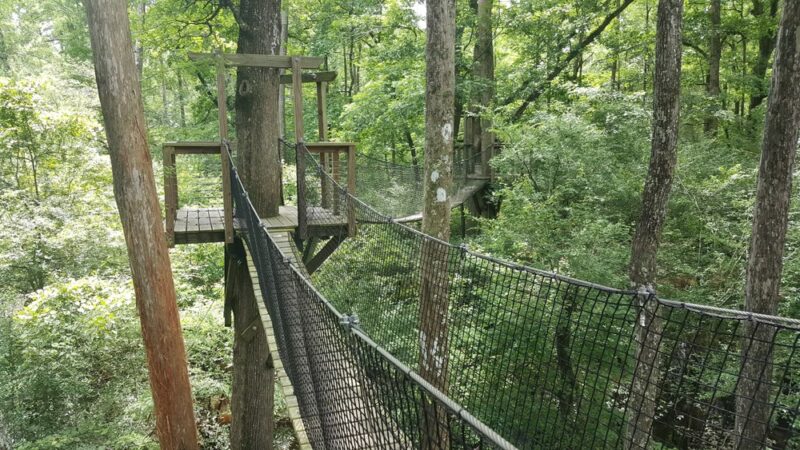 Lynches River County Park - Coward, SC