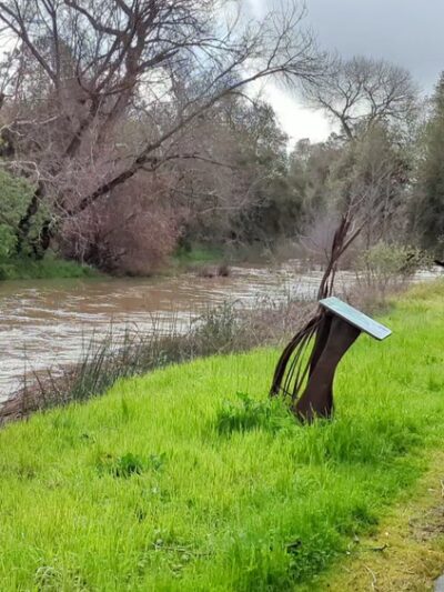 Coyote Creek Parkway - Coyote, CA