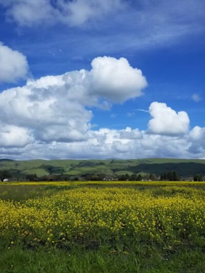 Coyote Creek Parkway - Coyote, CA
