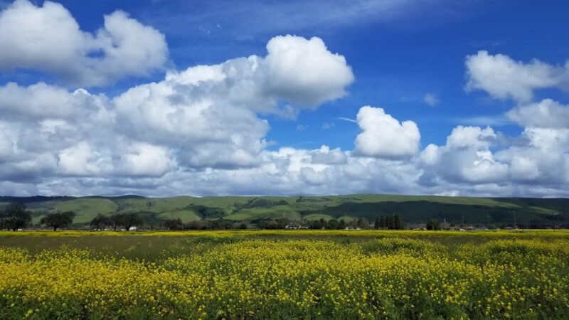 Coyote Creek Parkway - Coyote, CA