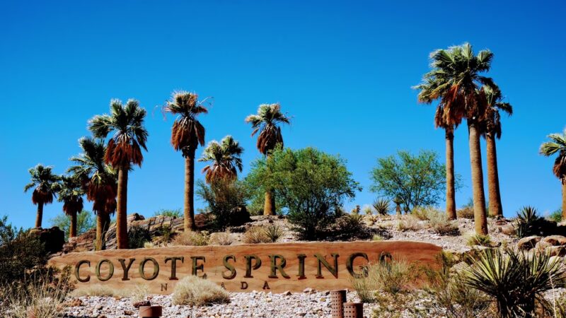Coyote Springs - Coyote Springs, NV