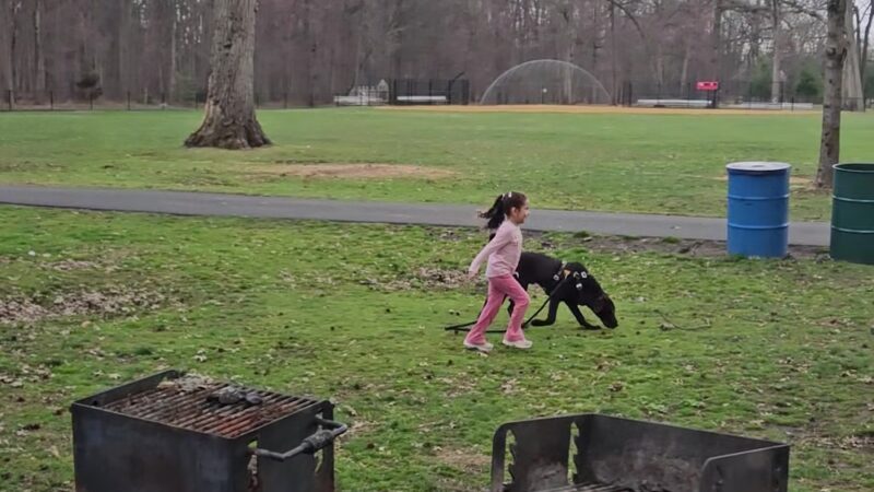 Nomahegan Playground - Cranford, NJ