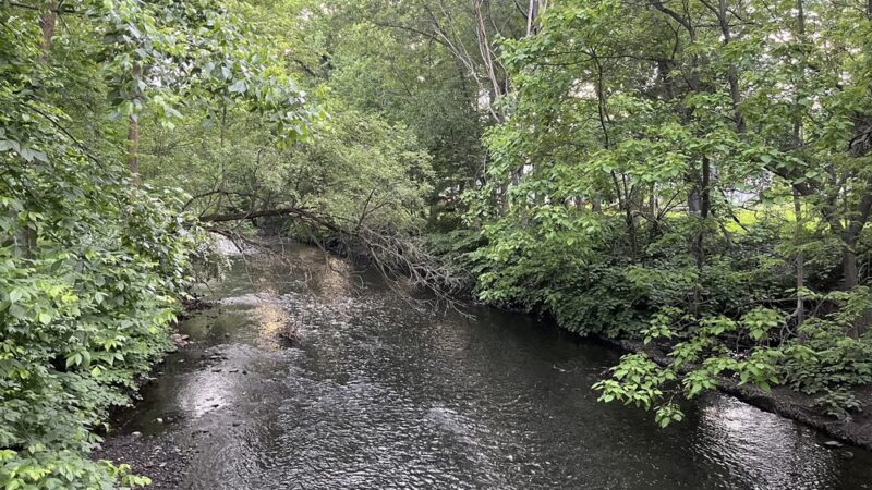 Rahway River Parkway - Cranford, NJ