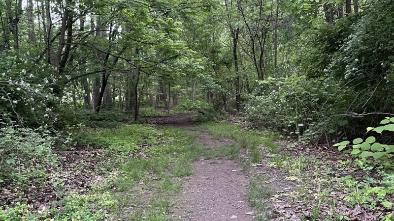 Rahway River Parkway - Cranford, NJ