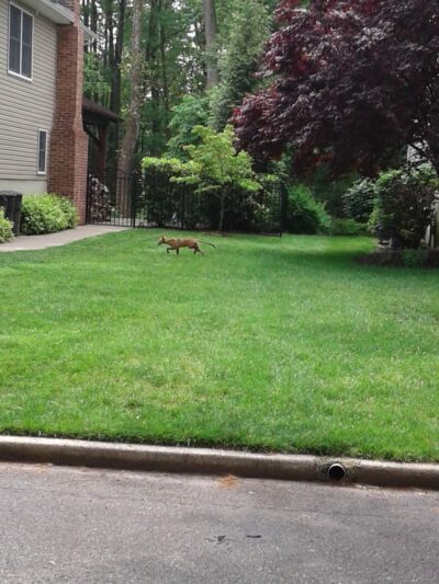 Rahway River Parkway - Cranford, NJ