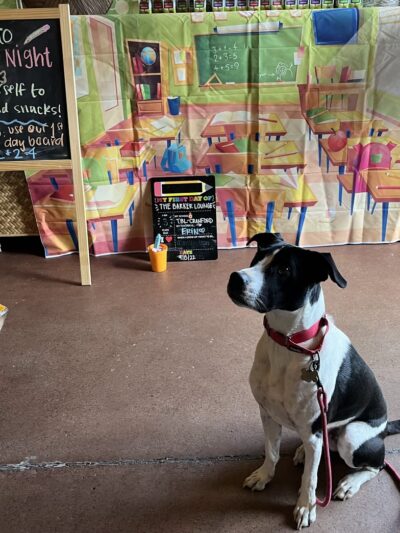 The Barker Lounge - Cranford, NJ