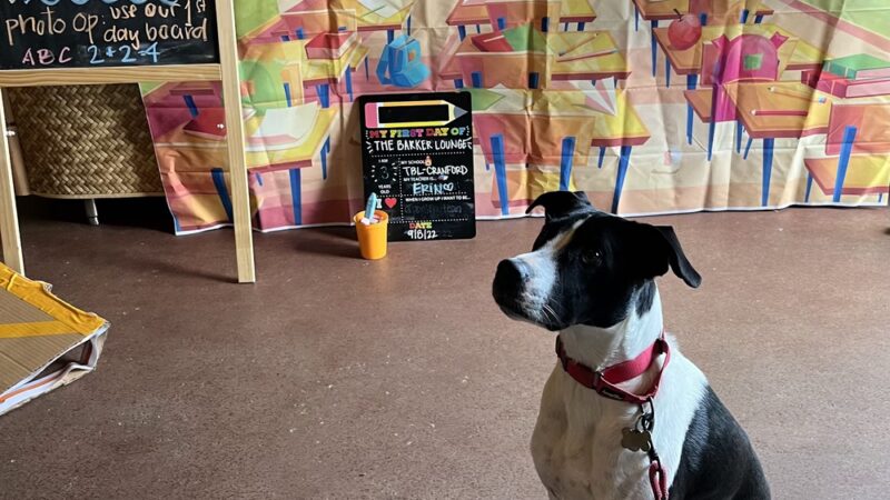 The Barker Lounge - Cranford, NJ