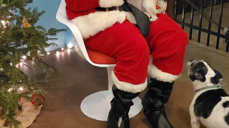 The Barker Lounge - Cranford, NJ