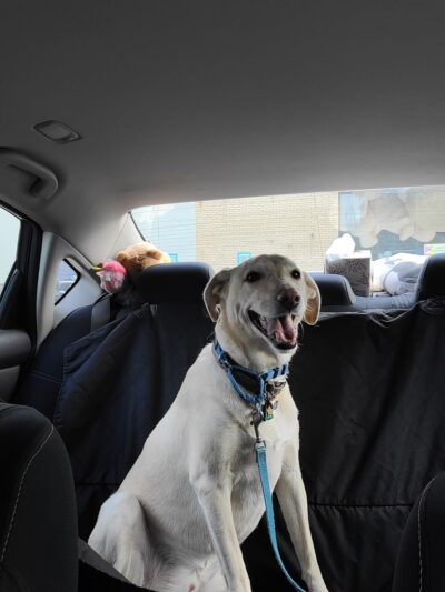 The Barker Lounge - Cranford, NJ