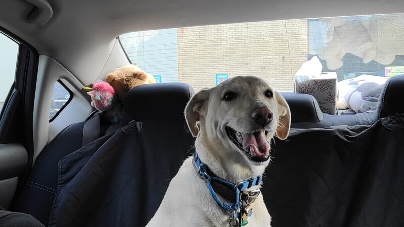 The Barker Lounge - Cranford, NJ