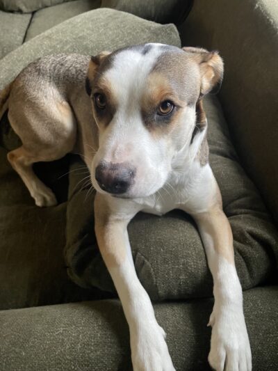 The Barker Lounge - Cranford, NJ