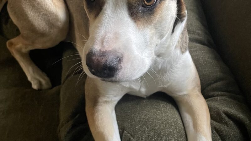 The Barker Lounge - Cranford, NJ