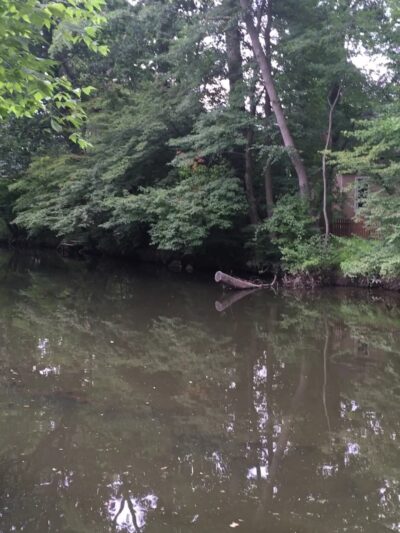 Hampton Park - Cranford, NJ