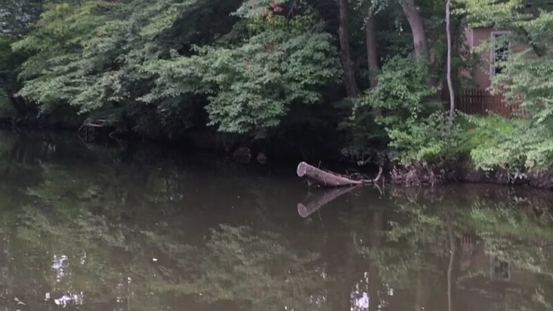 Hampton Park - Cranford, NJ