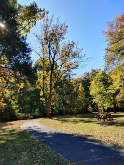 Hampton Park - Cranford, NJ