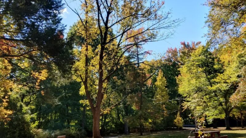 Hampton Park - Cranford, NJ