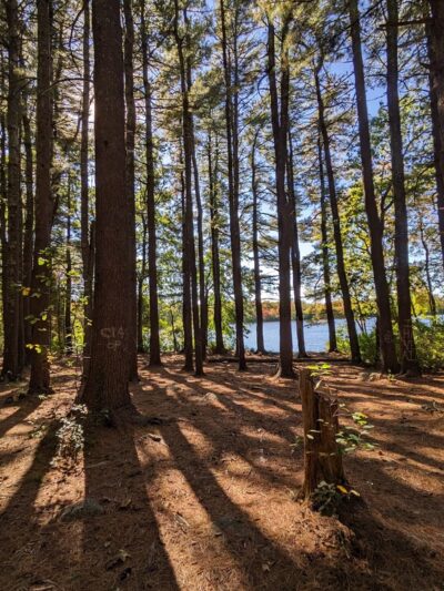 Spring Lake Trail - Cranston, RI