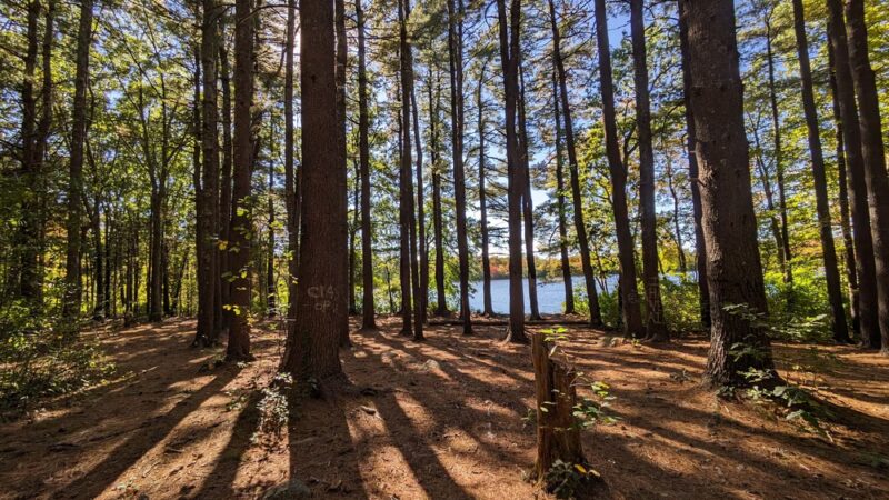 Spring Lake Trail - Cranston, RI