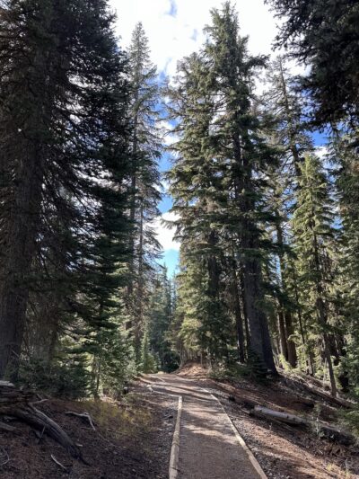 Godfrey Glen - CRATER LAKE, OR