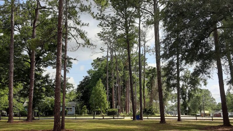 Hudson Park - Crawfordville, FL