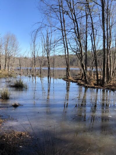 Horseshoe Road Nature Preserve - Creedmoor, NC