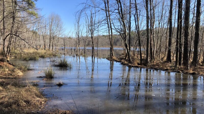 Horseshoe Road Nature Preserve - Creedmoor, NC