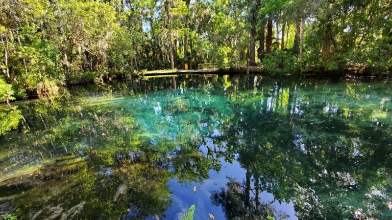 Welaka State Forest Mud Spring Trail - Crescent City, FL