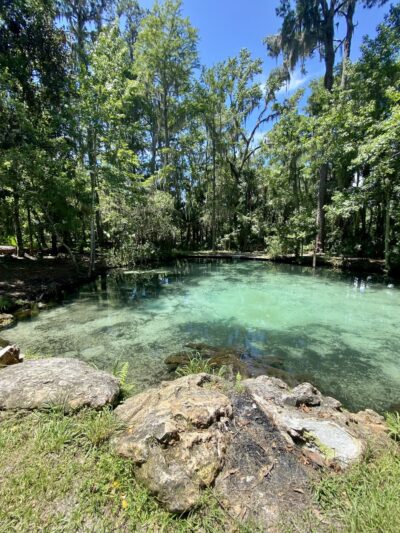 Welaka State Forest Mud Spring Trail - Crescent City, FL